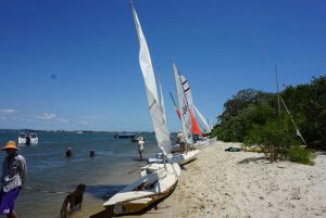 mmexport1483347986764